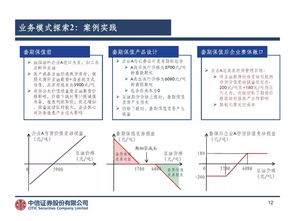 中信證券薛繼銳 我國證券公司參與大宗商品業務的實踐與探索——軟件開發視角